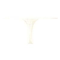 ラ・ポーム 伸縮GUS素材 セクシーTバックショーツ T字フロント×透け感デザイン 光沢感あるレディース下着 121033