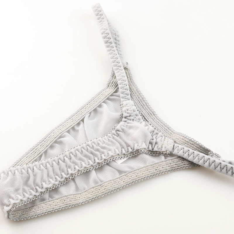 ラ・ポーム NHK生地使用 Tバックショーツ サイドバインダーゴム スタイリッシュ 透け感 シースルー 318149