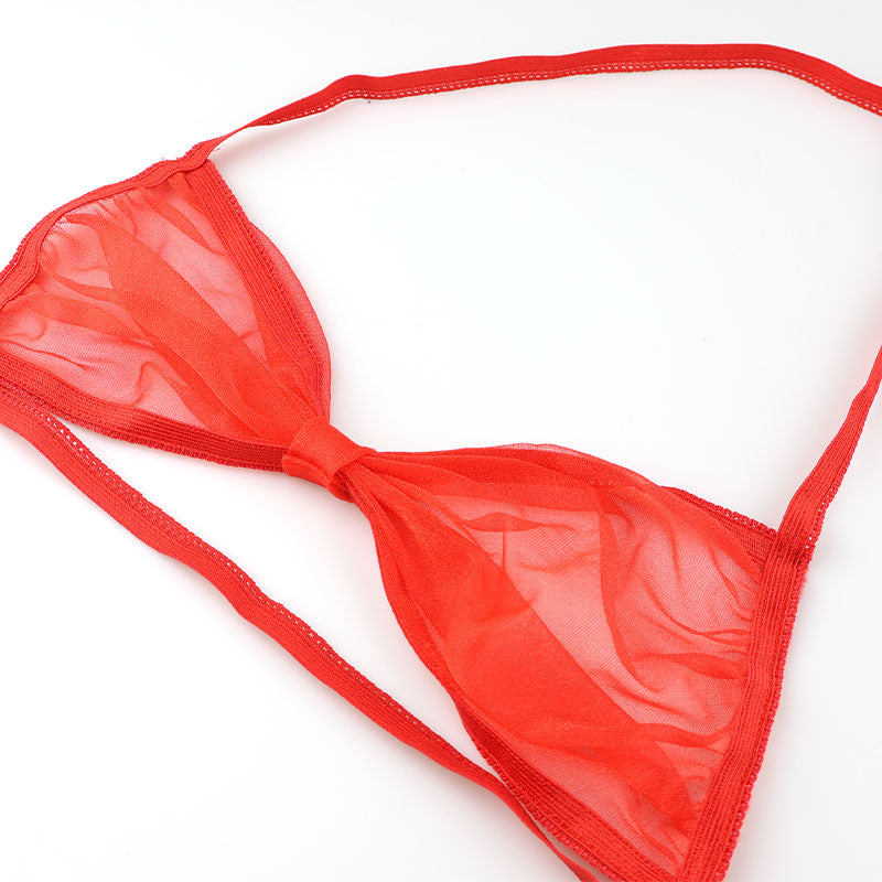 ラ・ポーム 妖艶リボン風ブラ シースルー素材 ミストラメ入り セクシーランジェリー 526004