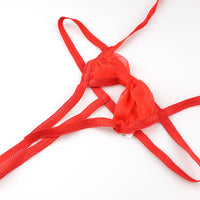 ラ・ポーム 妖艶リボン風ブラ シースルー素材 ミストラメ入り セクシーランジェリー 526004