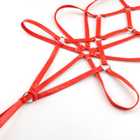 Cherry Love Elegant and Luxurious Enamel Fabric Costume Lingerie with Braided Design LS206