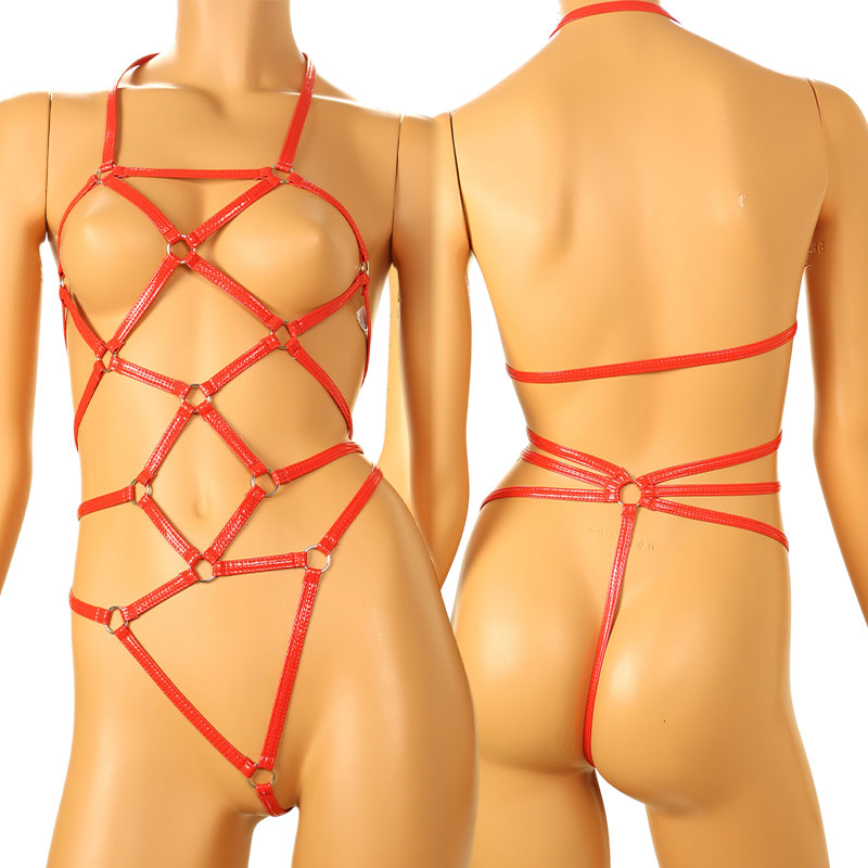 Cherry Love Elegant and Luxurious Enamel Fabric Costume Lingerie with Braided Design LS206