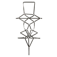 チェリーラブ キラキラメタリックプレイスーツ オープンバスト 格子模様 伸縮フィット LS207