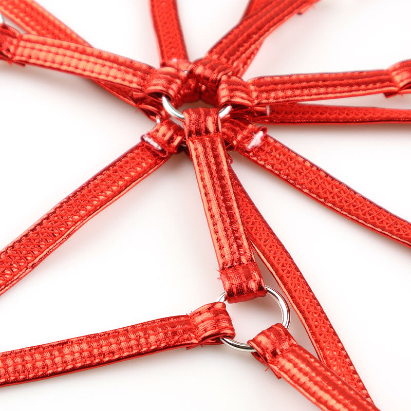 チェリーラブ キラキラメタリックプレイスーツ オープンバスト 格子模様 伸縮フィット LS207